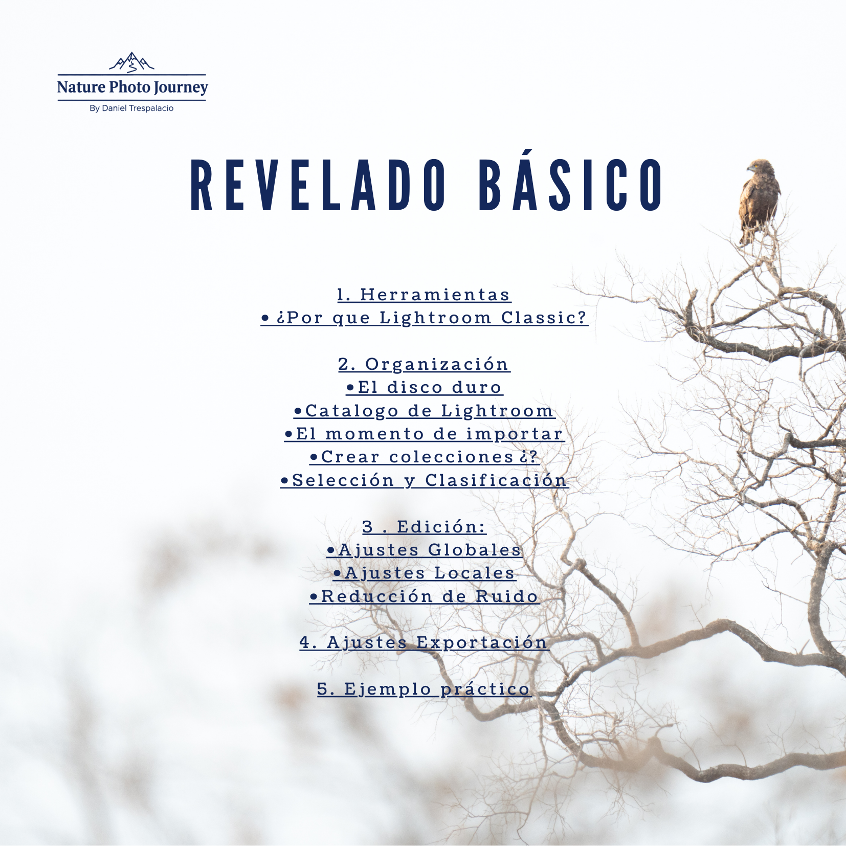 Revelado Basico